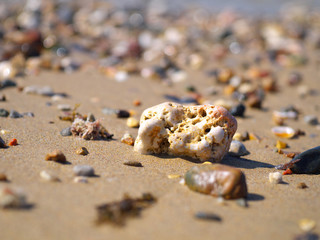 weird full of holes stone among other pebbles on a beach sand, closeup