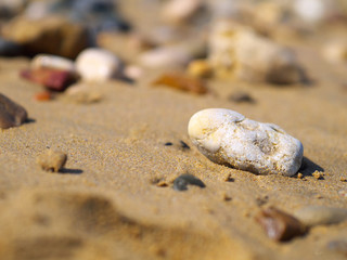 Fototapeta na wymiar pebble stone on sand on a beach, closeup, shallow depth of field