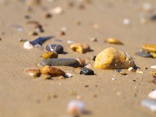 pebble stones on sand on a beach, closeup, shallow depth of field