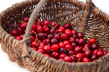 panier de cerises