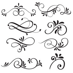 art calligraphy flourish of vintage decorative whorls for design. Vector illustration EPS10