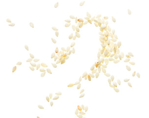 Sesame seeds on white background