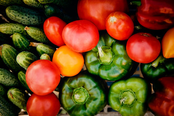 Close-up of farm products in a basket, top view: tomatoes, cucumbers, peppers. Concept is useful products, harvesting.