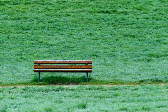 Wiese am Maisinger See