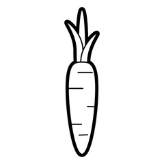 Flat line uncolored carrot over white background vector illustration