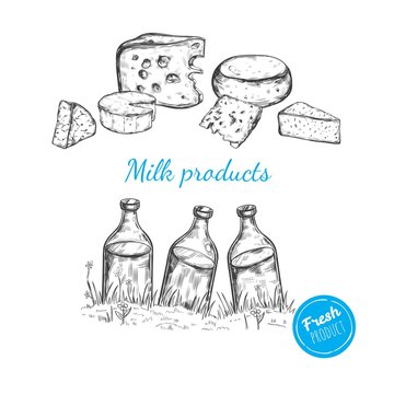 Dairy products vector collection. Cow, milk products, cheese , butter, sour cream, curd, yogurt. Farm foods. Hand drawn illustration. Isolated objects on white. Milk concept