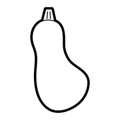 Flat line uncolored zucchini over white background vector illustration