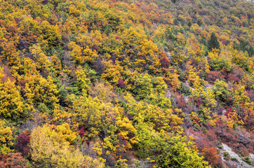 Beautiful landscape with colorful autumn forest