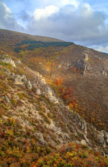 Beautiful landscape in the mountain with colorful autumn forest