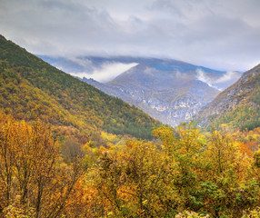 Obraz premium Beautiful landscape in the mountain with colorful autumn forest