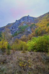 Beautiful landscape in the mountain with colorful autumn forest