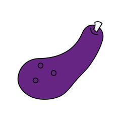 Flat line zucchini with hint of color over white background vector illustration