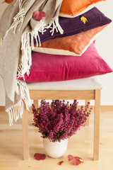 colorful cushions throw cozy home autumn mood flower leaf