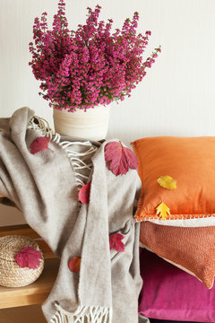 colorful cushions throw cozy home autumn mood flower