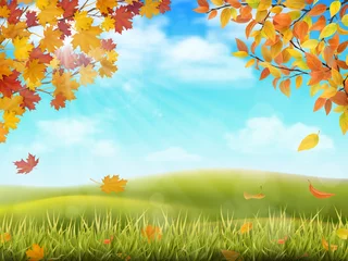 Crédence de cuisine en verre imprimé Bleu clair Paysage rural vallonné en automne. Branches d& 39 arbres aux feuilles jaunes et rouges sur le plan avant. Herbe avec feuillage tombé sur fond. Illustration réaliste de vecteur.