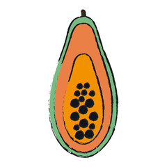 Colorful papaya doodle over white background vector illustration