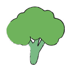 Colorful broccoli doodle over white background vector illustration