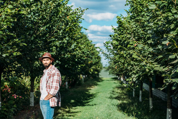Fototapeta na wymiar confident farmer in orchard