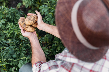 farmer holding potatoes in field © LIGHTFIELD STUDIOS