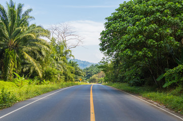 Rural asphalt road in Thailand province
