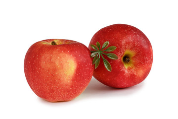 Two red apples