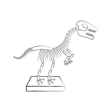 Museum Dinosaur Skeleton Icon Vector Illustration Design