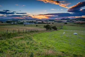 Naklejka premium Sunset over Whittingham in River Aln Valley / The River Aln runs through Northumberland, passing through Whittingham Village seen here as the sun sets behind the Cheviot Hills