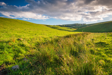 Source of the River Aln / The River Aln rises in the Cheviot Hills near Alnham in Northumberland....
