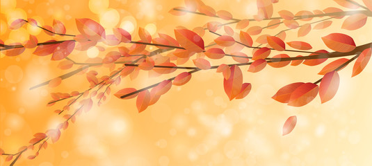 Realistic autumn cards with leaves and branches