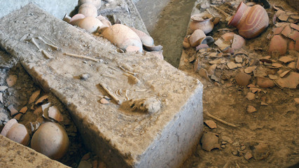 Human Skeleton with the potsherds