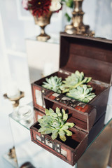 Wooden chest with green flowers inside