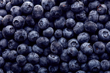 Freshly picked blueberries. Wild berry, Healthy food