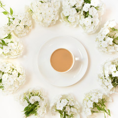Creative flat lay, morning coffee with milk and white flower phlox around on white. View from above.