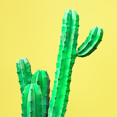 Green Cactus Set. Art Gallery Fashion Design. Minimal Stillife. Concept on Yellow background