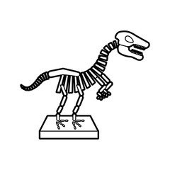 Museum dinosaur skeleton icon vector illustration design