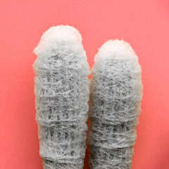 Cactus Set. Art Gallery Fashion Design. Sweet Couple. Minimal Stillife. Concept on Pink background. Love, Valentines Day
