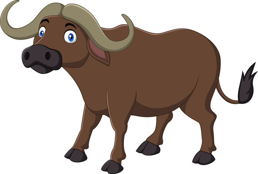 Cartoon Buffalo Images – Browse 591 Stock Photos, Vectors, and Video |  Adobe Stock