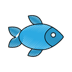 delicious fish isolated icon vector illustration design