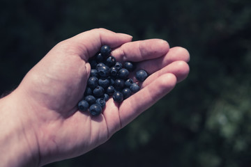 Handful of fresh blueberries
