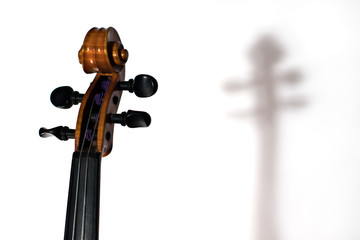 The upper part of a violin, neck, tuning pegs and scroll on a white background with the shadow...