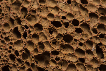 Closeup rock erosion holes sea wall.
