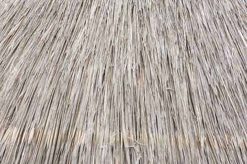 Texture of dirty straw
