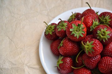 Strawberry farmland organic berry vintage paper 1