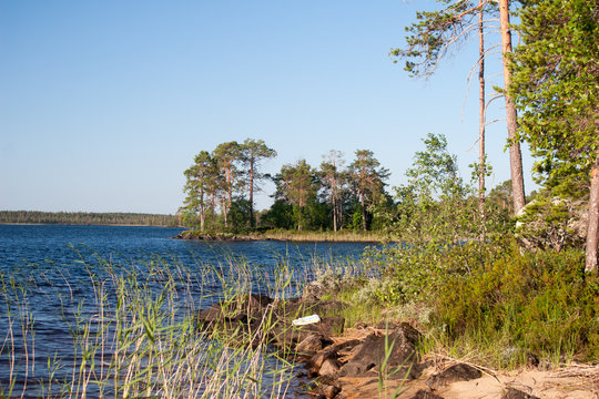 landscape