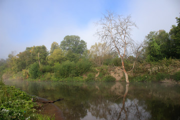 Obraz premium landscape