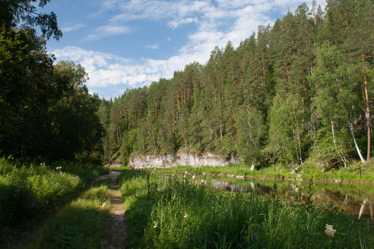landscape