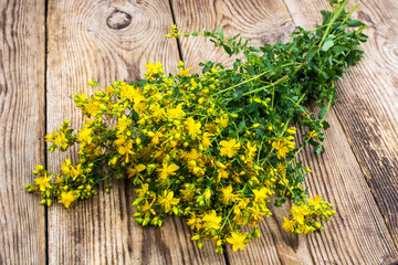 The St. John's wort is used in folk medicine, rustic table