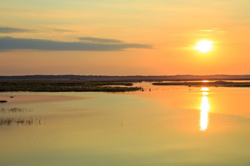 Fototapeta na wymiar Beautiful summer landscape, the dawn on the lake