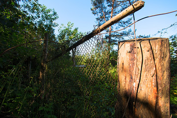 Old rusty broken metal fence and dry stump