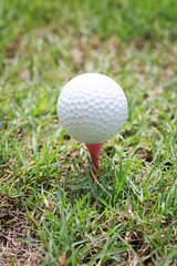 Golf ball on wooden golf tee.